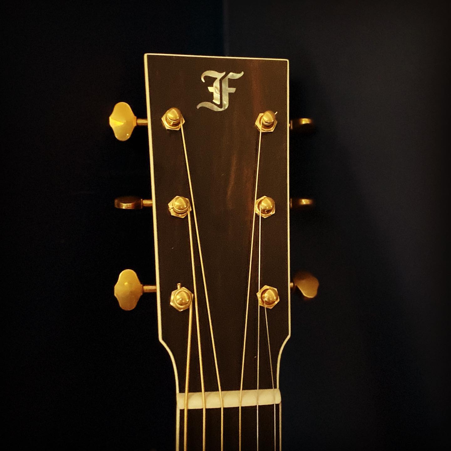 So which #furchguitars do you...