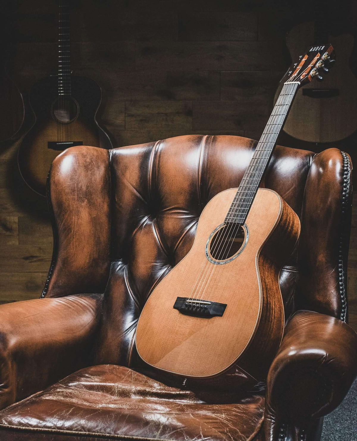 Auden Electro Acoustic Guitars. World Class
