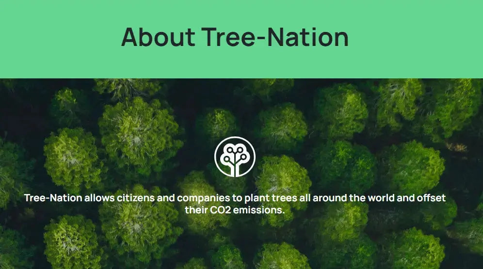 About "Tree Nation" The Amazing Charity Who Have Helped Our Customers Plant 4500 Trees! - Richards Guitars Of Stratford Upon Avon