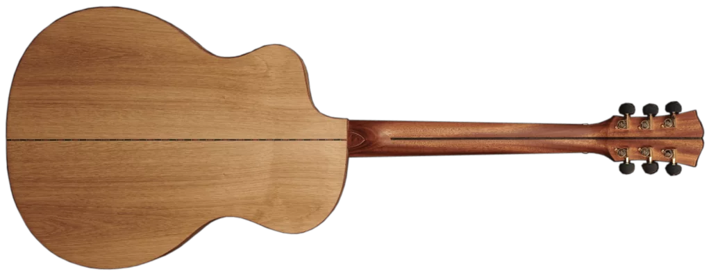 Eco Friendly Acoustic Guitar Dowina Would Have To Be Top Of Your List