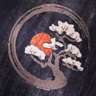 Dowina Guitars Custom Inlays. Whats Your Story? - Richards Guitars Of Stratford Upon Avon