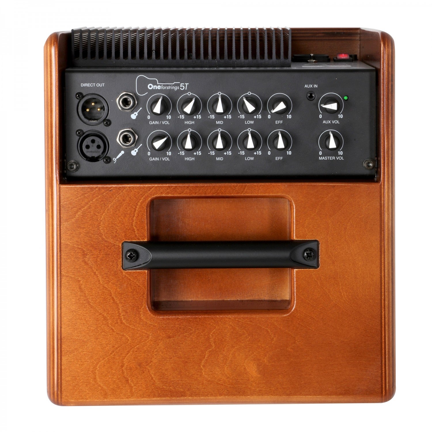 The Ultimate Alternative To AER Acoustic Amps.  The New King Of The Acoustic Amp World
