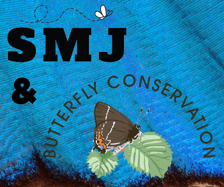 SMJ Guitar Accessories Have Made a Difference Already! WOW! - Richards Guitars Of Stratford Upon Avon