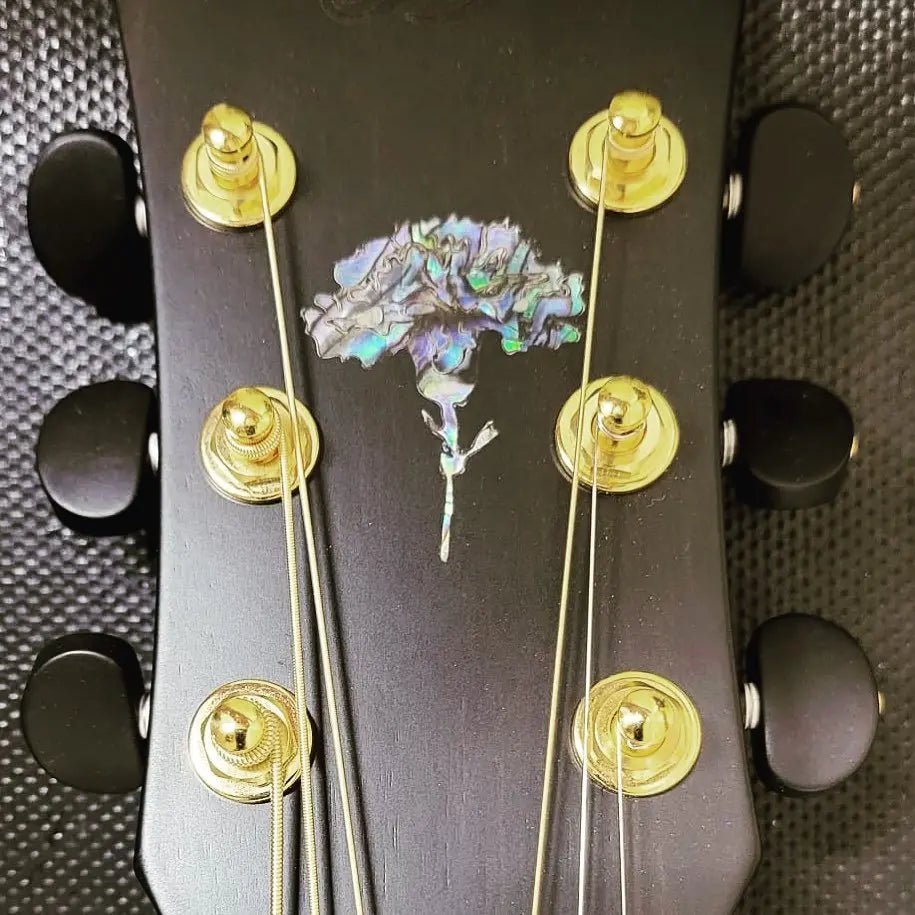 Something so incredi - Richards Guitars Of Stratford Upon Avon