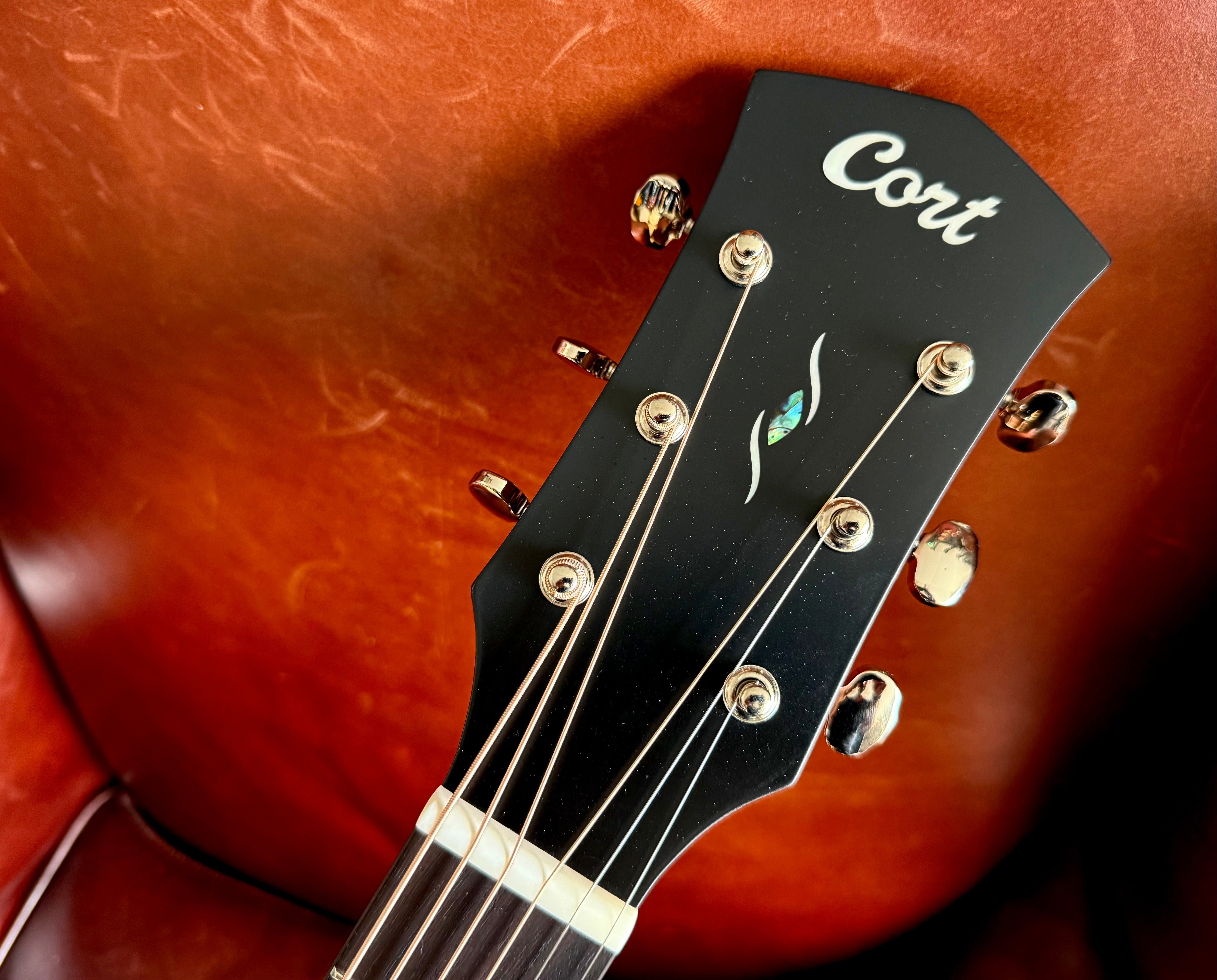 Buy Cort Core-OC Maple, All Solid Wood Electro Acoustic Inc. £225 Custom Pro Setup & Support Package