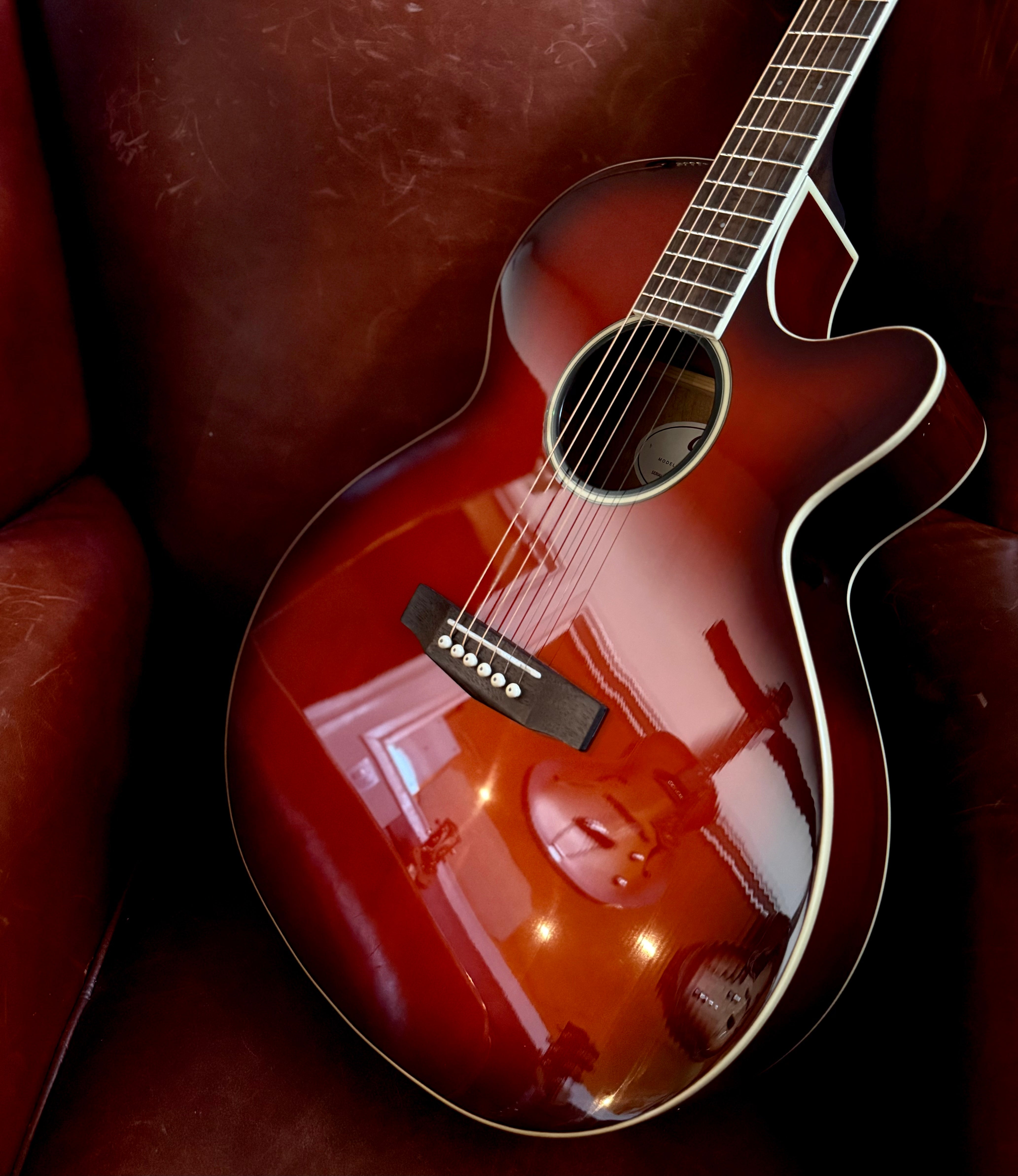 Cort SFX Myrtle Electro Acoustic Guitar