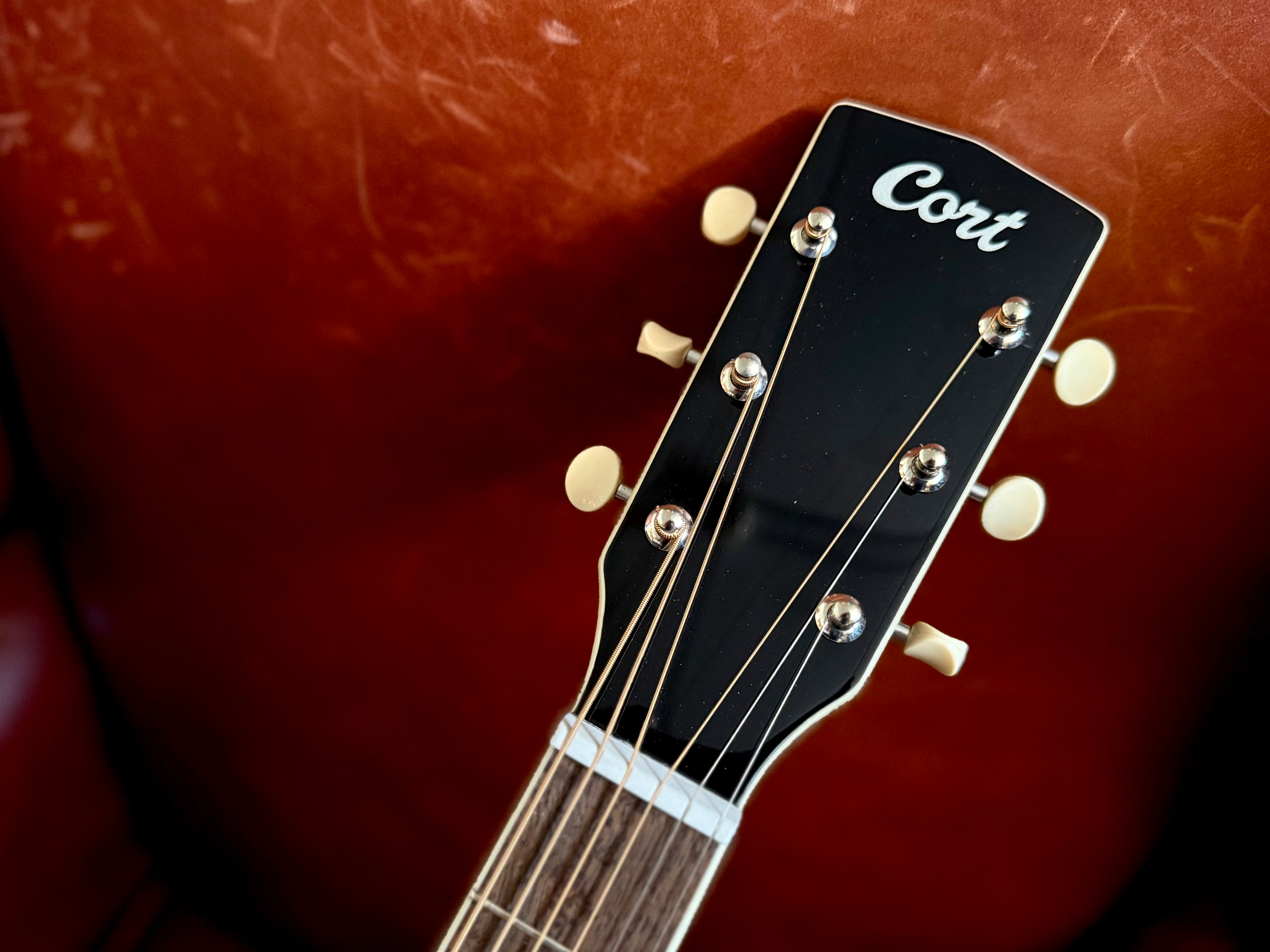 Cort SFX Myrtle Electro Acoustic Guitar