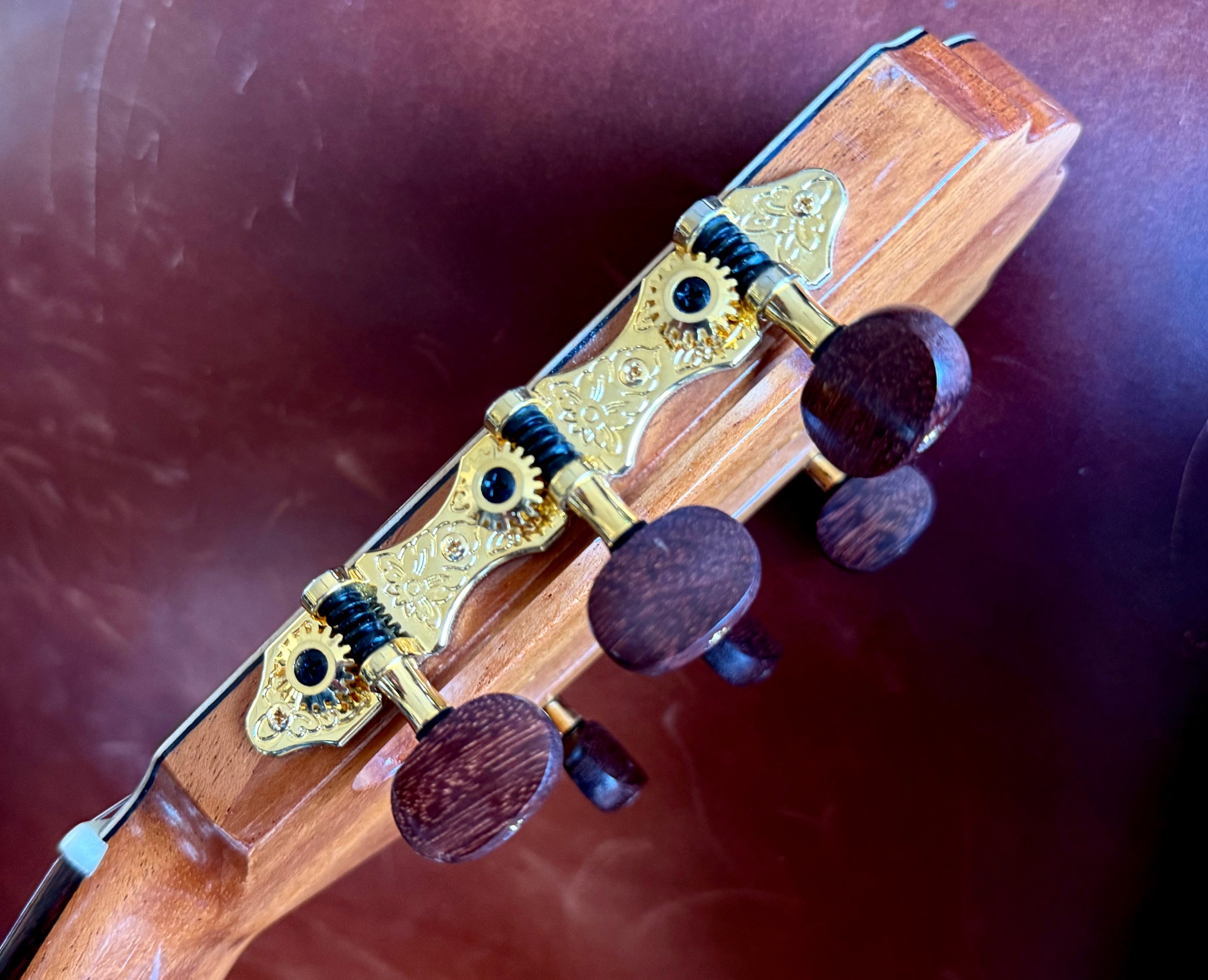 Kremona F65CWS, Solid Spruce, Indian Rosewood Back & Sides, Hand Made Electro Nylon Strung Guitar