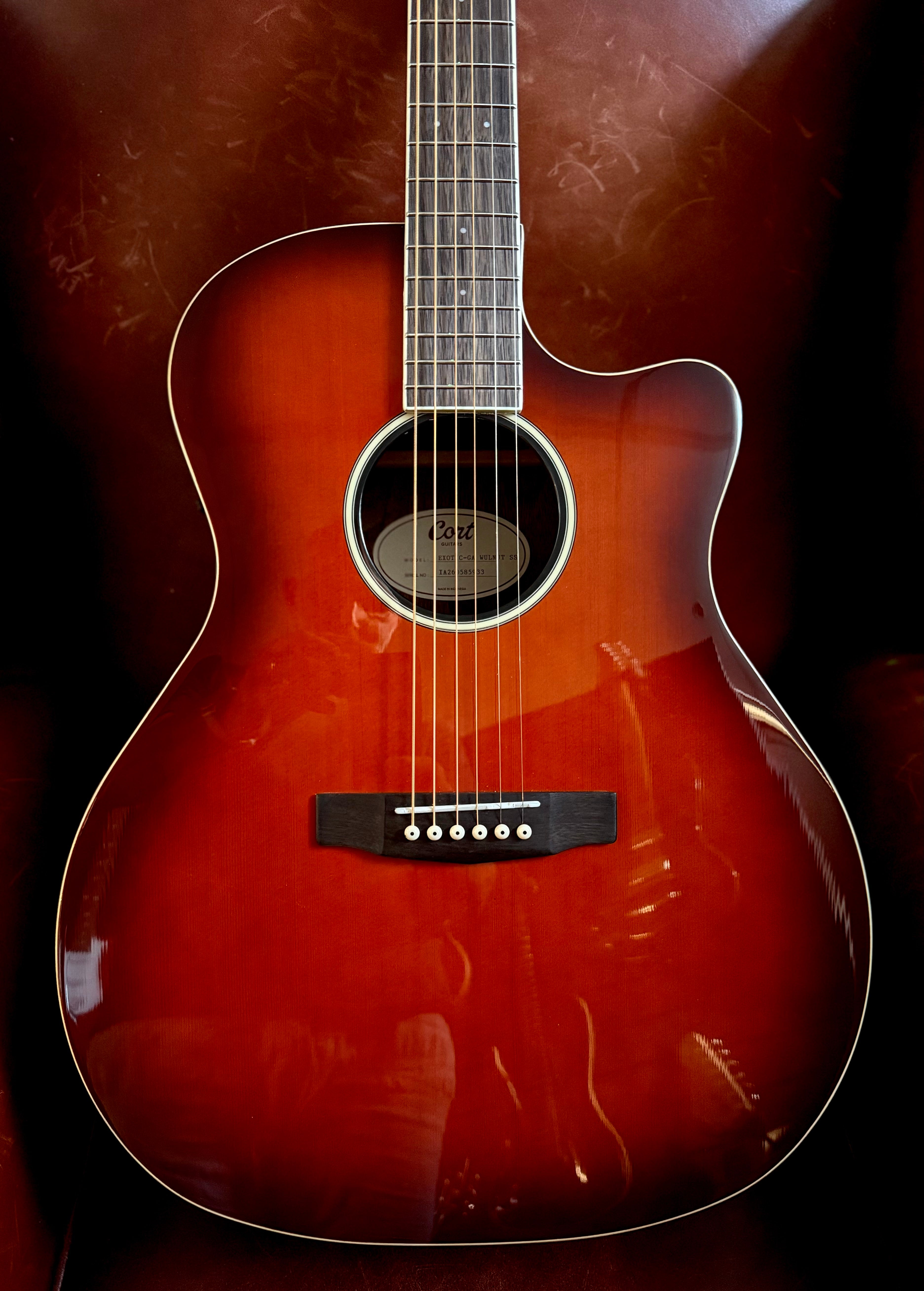 Cort Exotic GA Walnut Electro Acoustic Guitar w'Solid Spruce Top