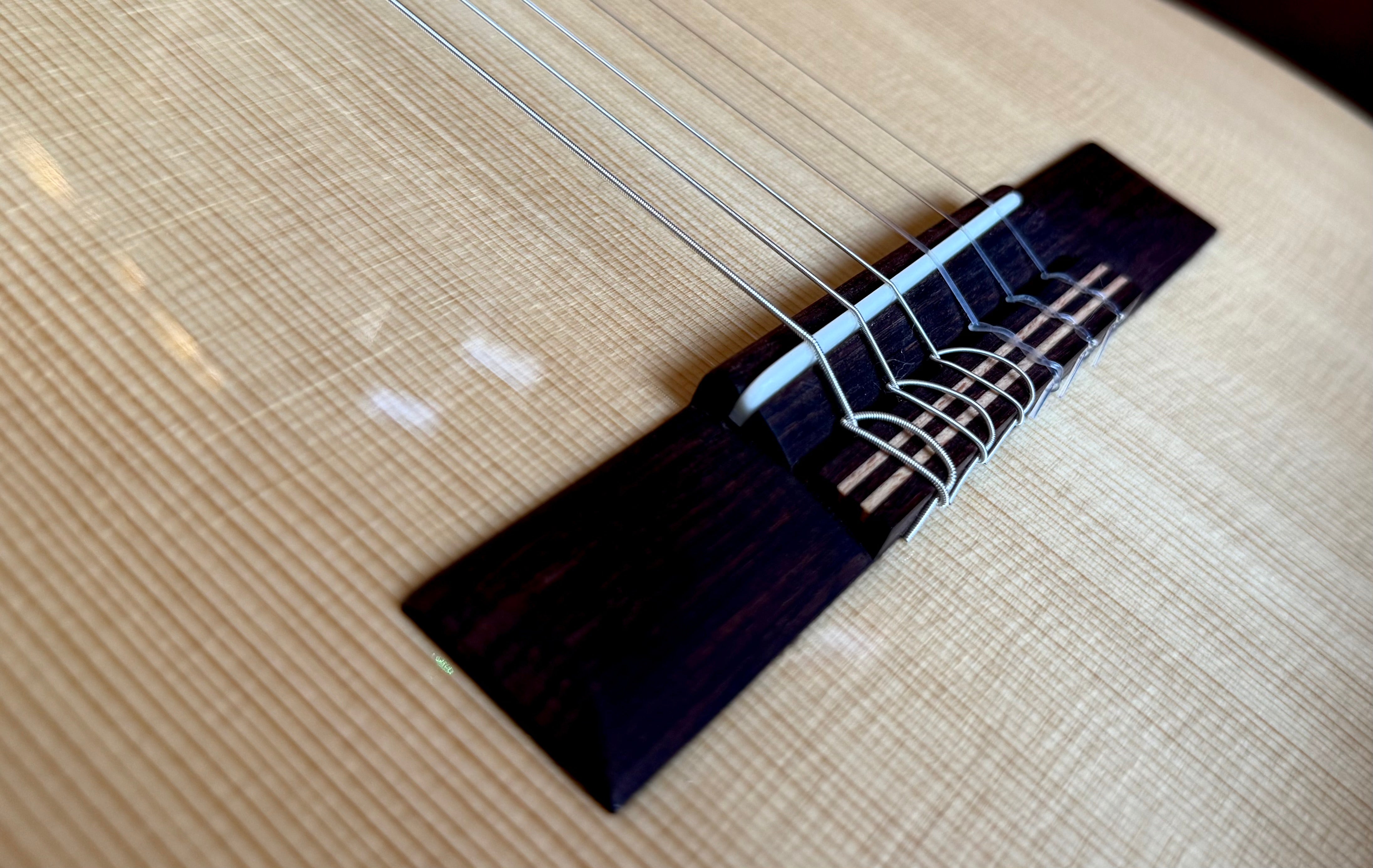 Kremona F65CWS, Solid Spruce, Indian Rosewood Back & Sides, Hand Made Electro Nylon Strung Guitar