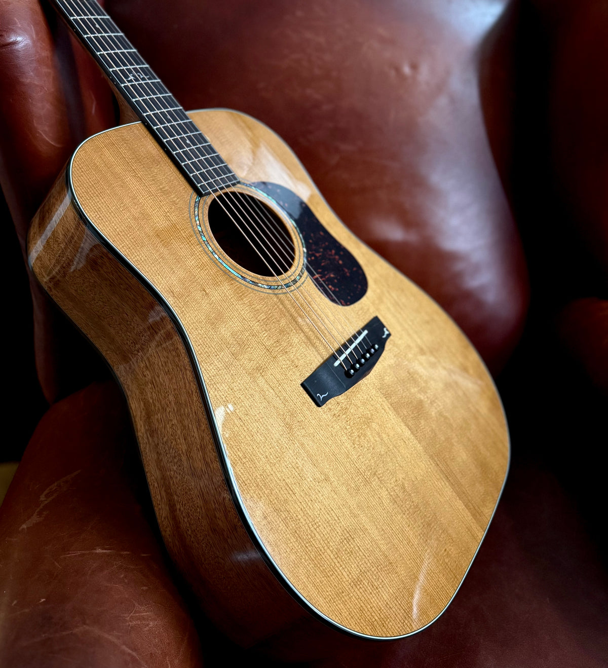 Cort Gold D6 Custom Pro Exclusive W' Torrified All Solid Wood Acoustic Guitar