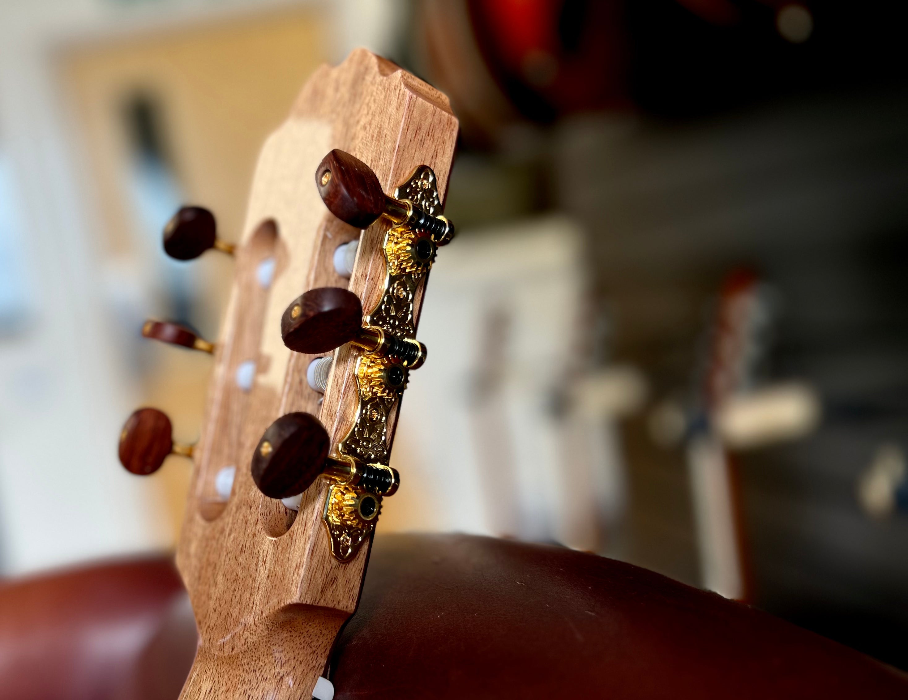 Kremona F65CW TLR Thinline Performance Electro Classical Guitar Hand Made In Europe, Electro Nylon Strung Guitar for sale at Richards Guitars.