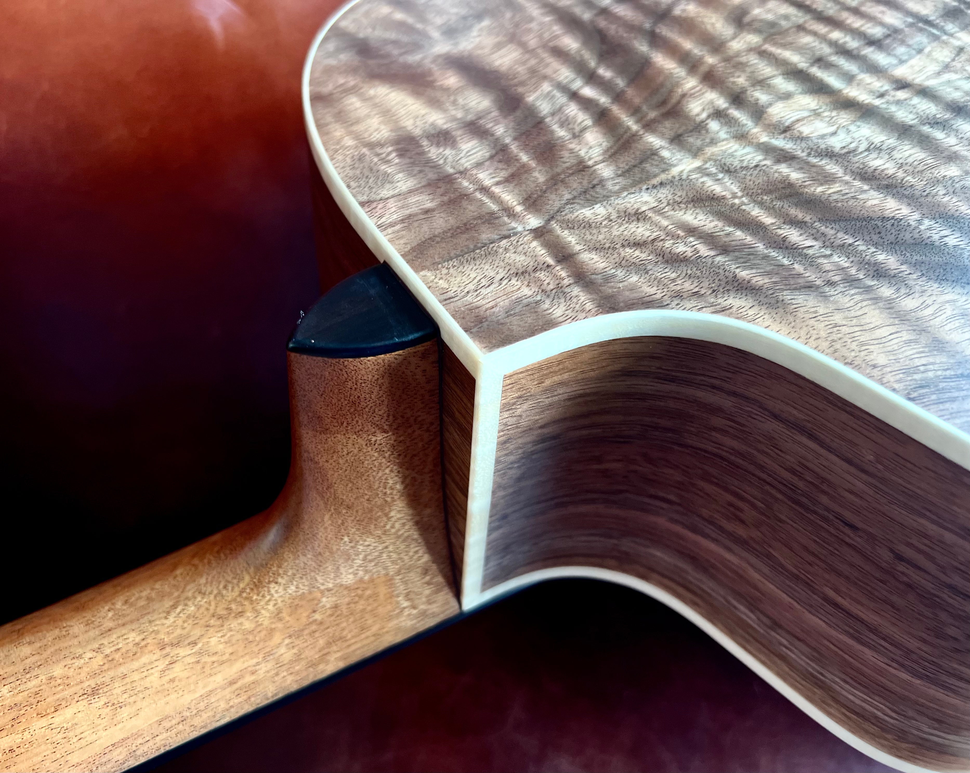 Dowina Walnut GAC Deluxe Torrified Swiss Moon Spruce, Acoustic Guitar for sale at Richards Guitars.