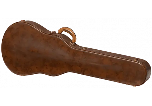 AGA ASLFTCASE - 5L - LPS - AG - Richards Guitars Of Stratford Upon Avon