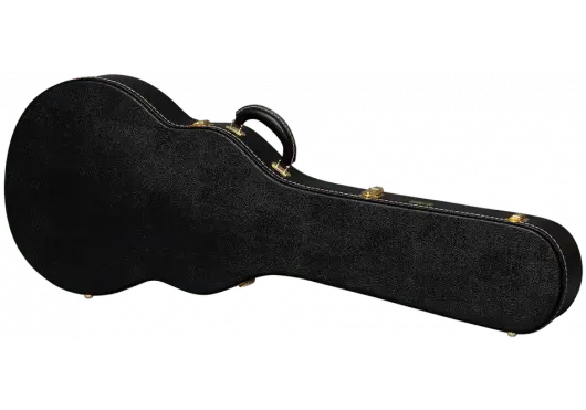 AGA ASLFTCASE - PB - LPS - Richards Guitars Of Stratford Upon Avon