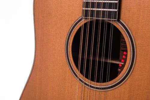 Auden Artist Rosewood Series - Colton Spruce Full Body 12 String