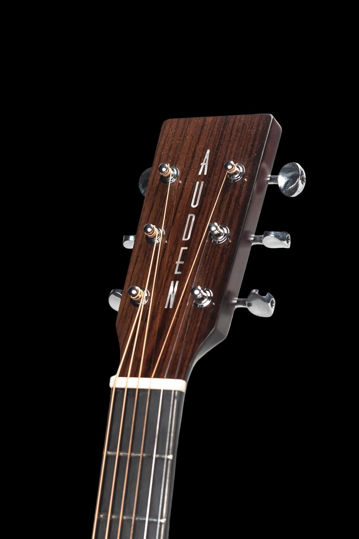 Auden Artist Rosewood Series - Chester Cedar Cutaway - Richards Guitars Of Stratford Upon Avon