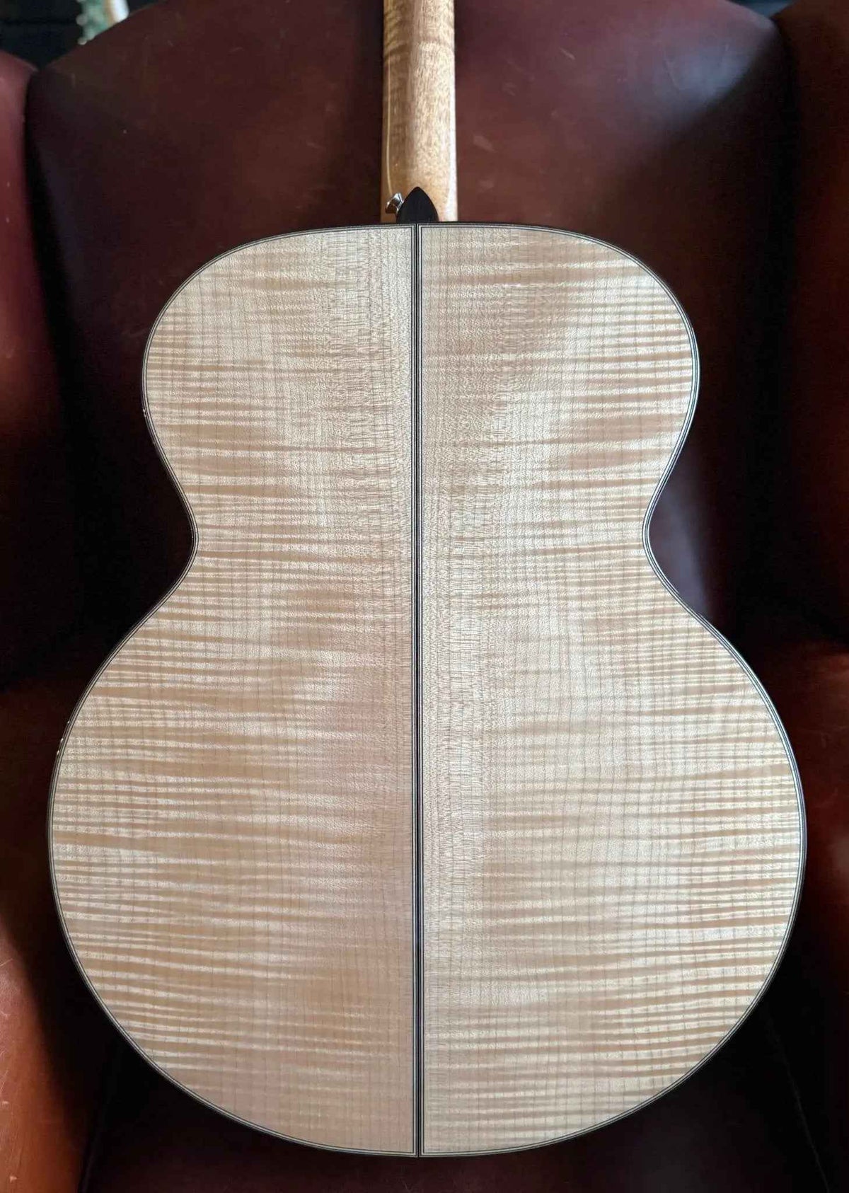 Auden Maple Series - Grace Jumbo