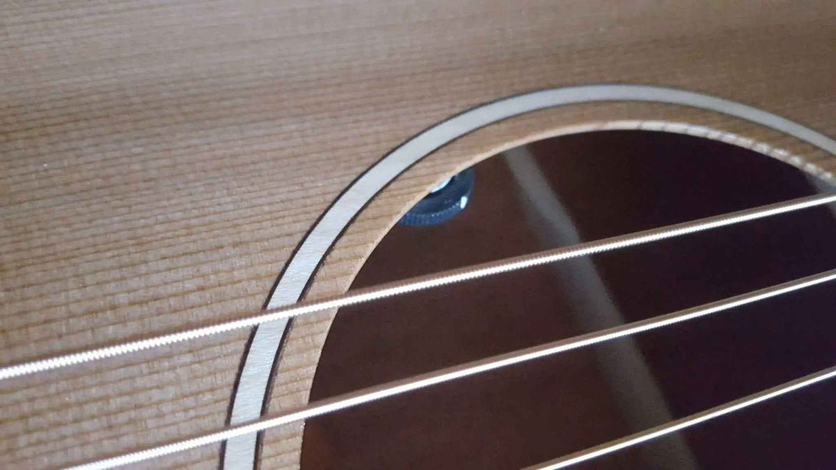 Auden Neo Series - Chester Cutaway