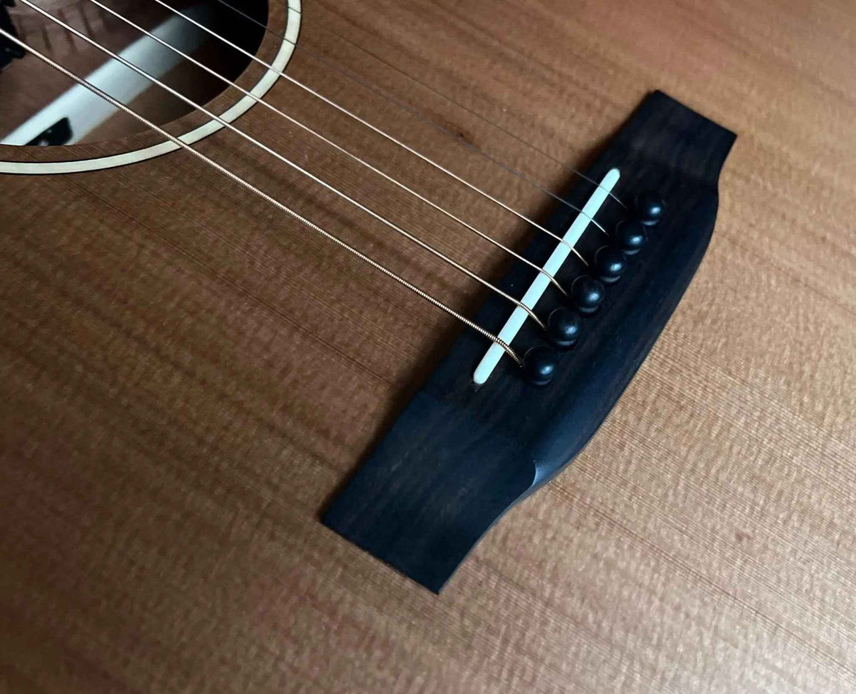 Auden Neo Series - Chester Cutaway
