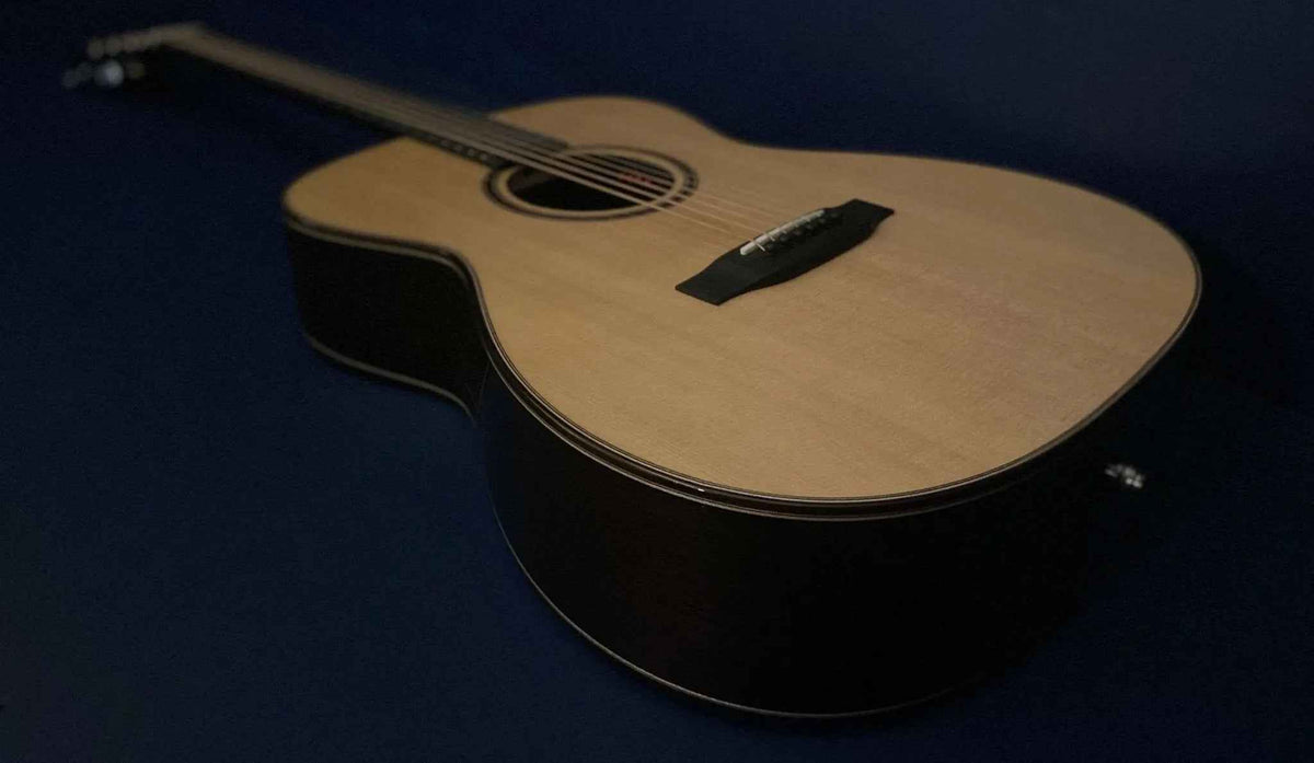 Auden Artist Rosewood Series - Bowman Spruce Full Body