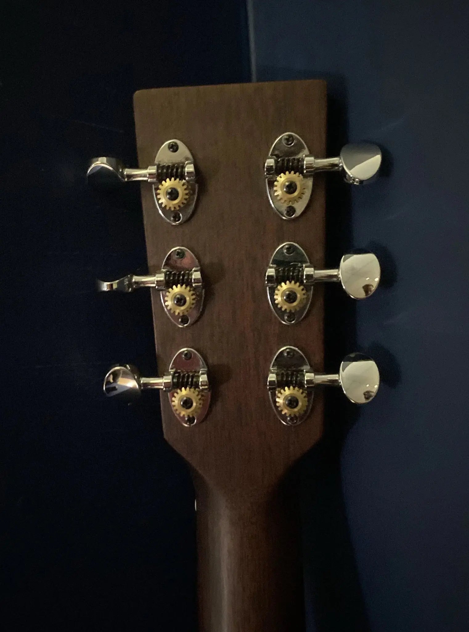 AUDEN ROSEWOOD SERIES – CHESTER 45 CEDAR CUTAWAY - Richards Guitars Of Stratford Upon Avon