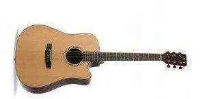 Auden Artist Rosewood Series - Colton Spruce Cutaway
