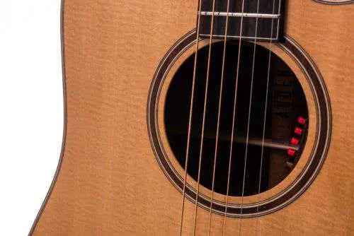 Auden Artist Rosewood Series - Colton Spruce Cutaway