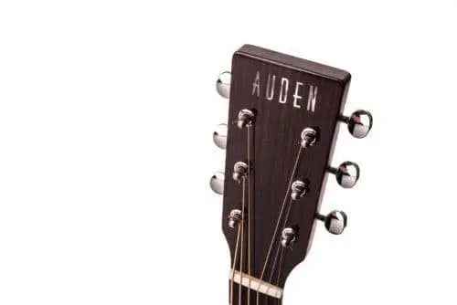 Auden Artist Rosewood Series - Colton Spruce Fullbody