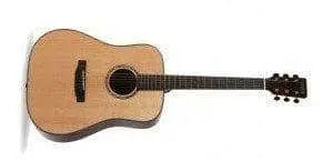 AUDEN ROSEWOOD SERIES – COLTON SPRUCE FULL BODY - Richards Guitars Of Stratford Upon Avon