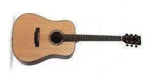 Auden Artist Rosewood Series - Colton Spruce Fullbody