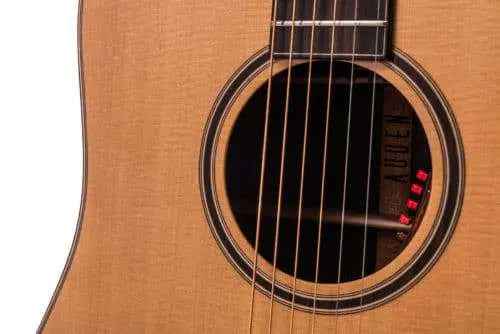 Auden Artist Rosewood Series - Colton Spruce Fullbody