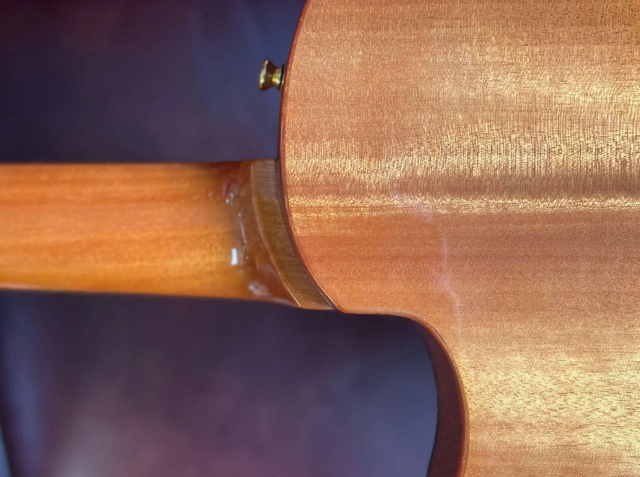 Cordoba Stage Natural Amber - Richards Guitars Of Stratford Upon Avon