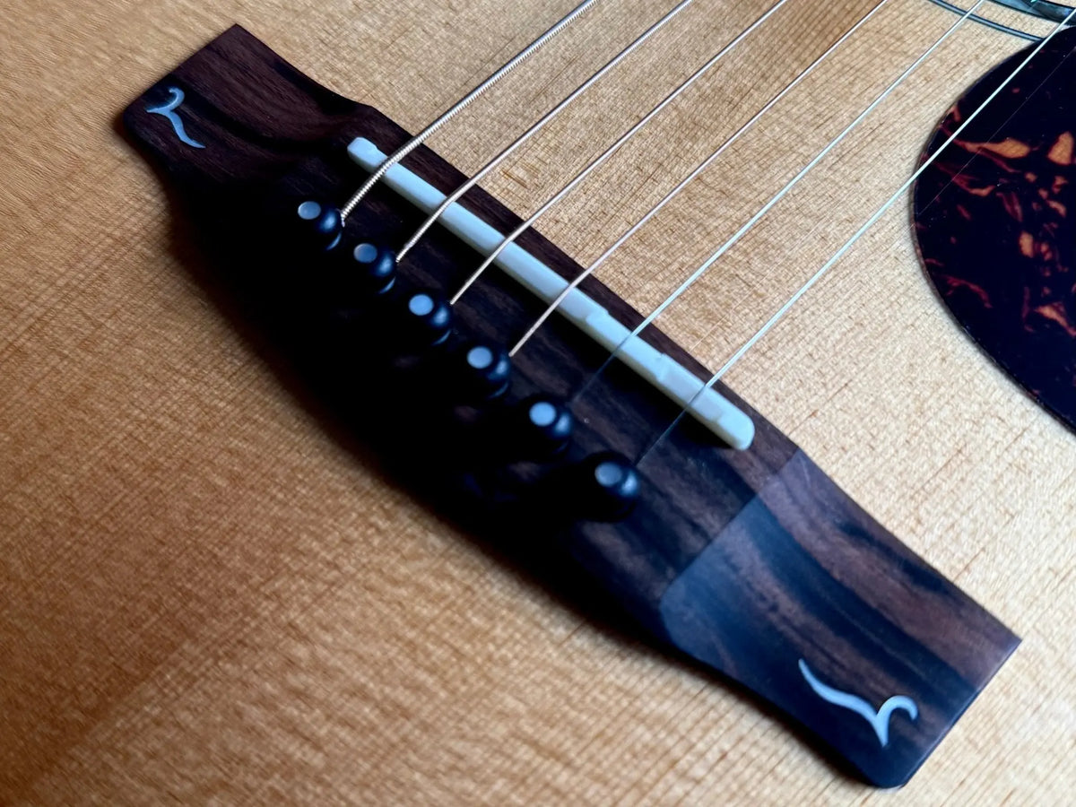 Buy Cort Gold MC6 Ovangkol Electro Acoustic Guitar w/Case w' £225 Custom Pro Setup & Support Package