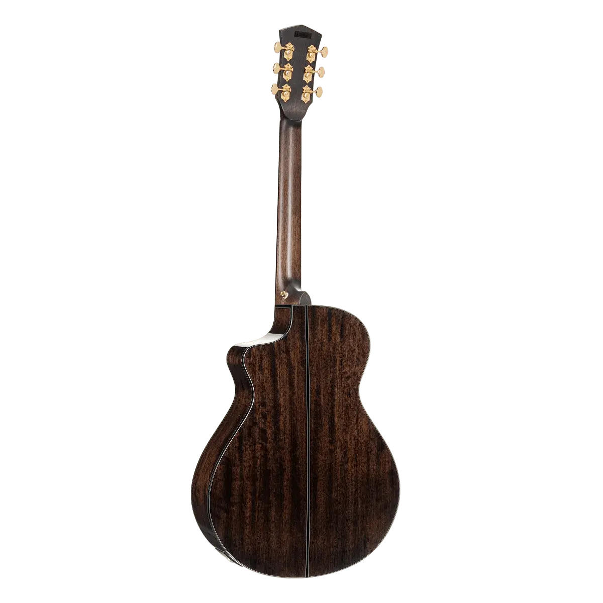 Buy Cort Gold MC6 Ovangkol Electro Acoustic Guitar w/Case w' £225 Custom Pro Setup & Support Package