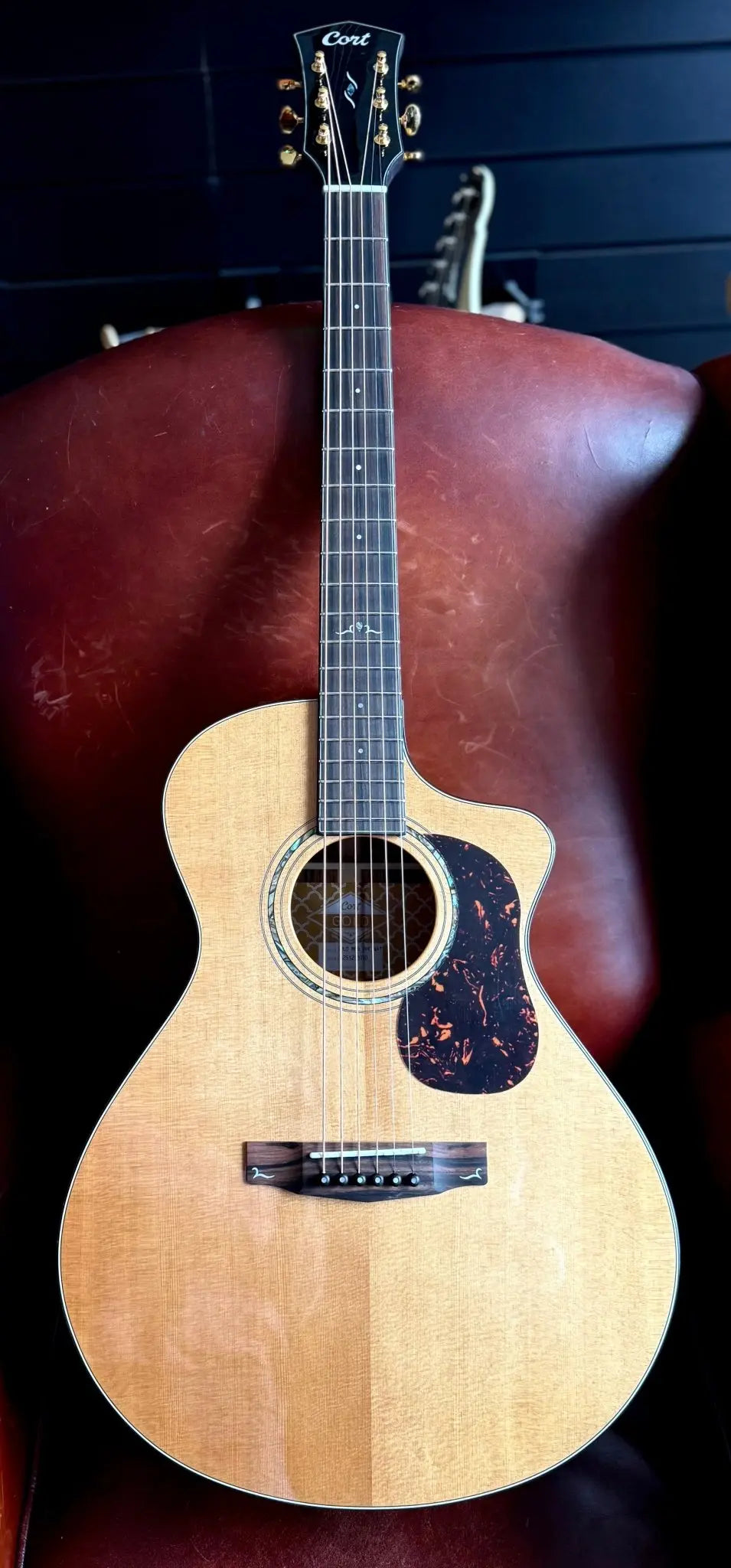 Buy Cort Gold MC6 Ovangkol Electro Acoustic Guitar w/Case w' £225 Custom Pro Setup & Support Package