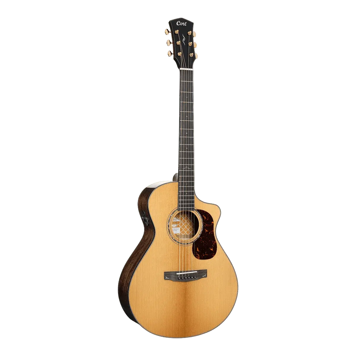 Buy Cort Gold MC6 Ovangkol Electro Acoustic Guitar w/Case w' £225 Custom Pro Setup & Support Package