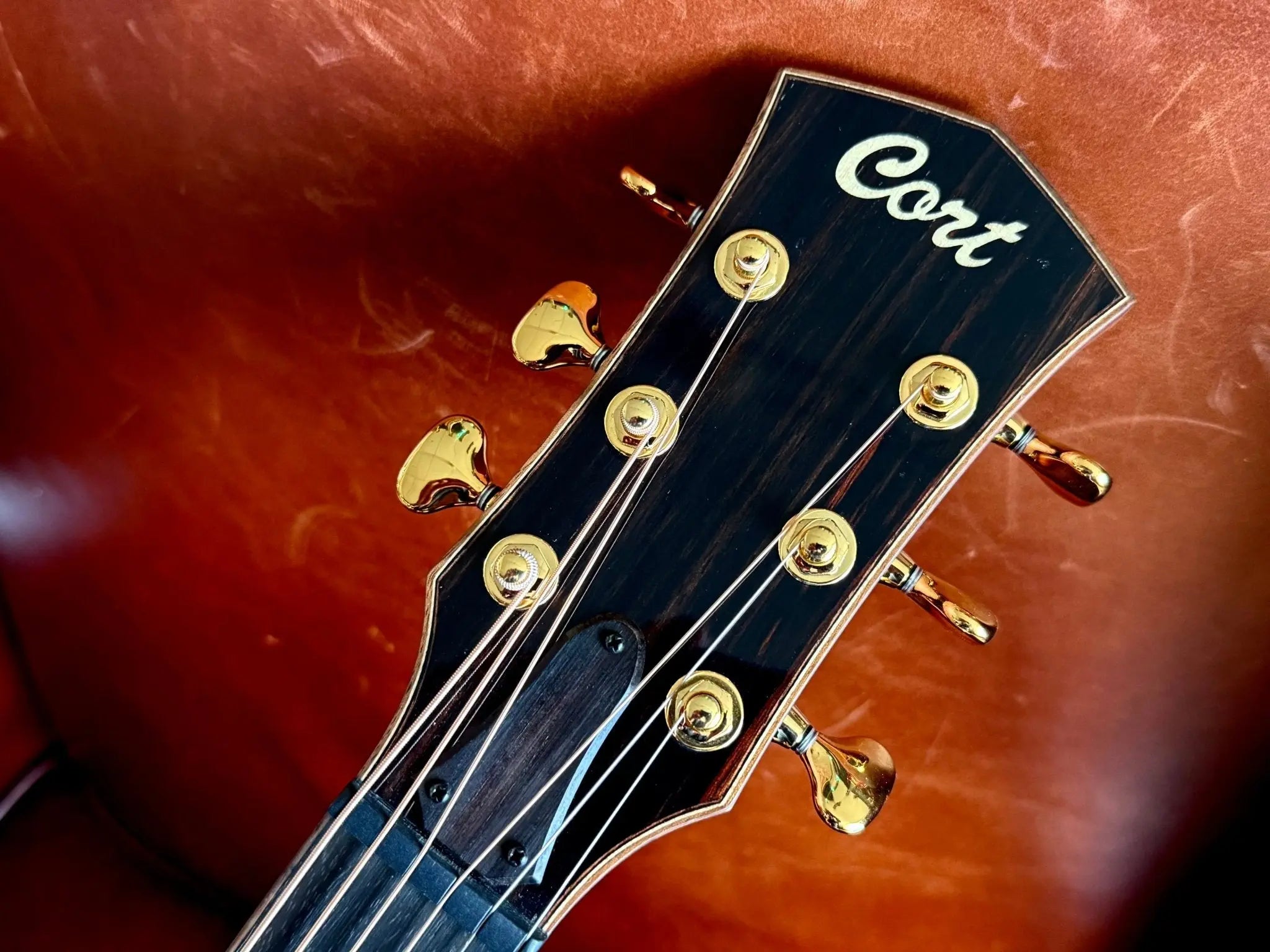 Buy Cort Modern Tobacco Burst Electro Acoustic Guitar with Case Inc. Fishman Matrix