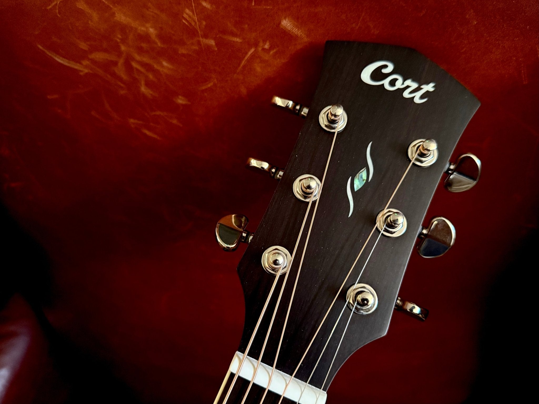 Cort Pure DCF all Solid Dreadnought Cutaway Electro Acoustic Guitar - Richards Guitars Of Stratford Upon Avon