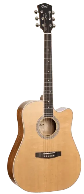 Buy Cort Pure DCF Electro Acoustic Guitar