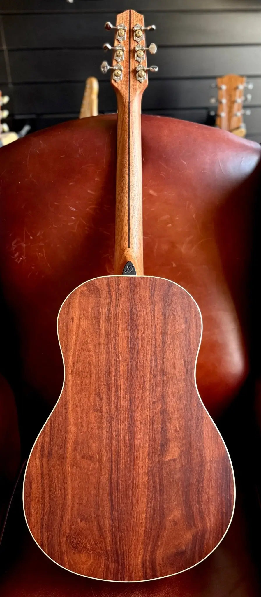 Buy Dowina Granadillo Swiss Moon Spruce BV Acoustic Guitar