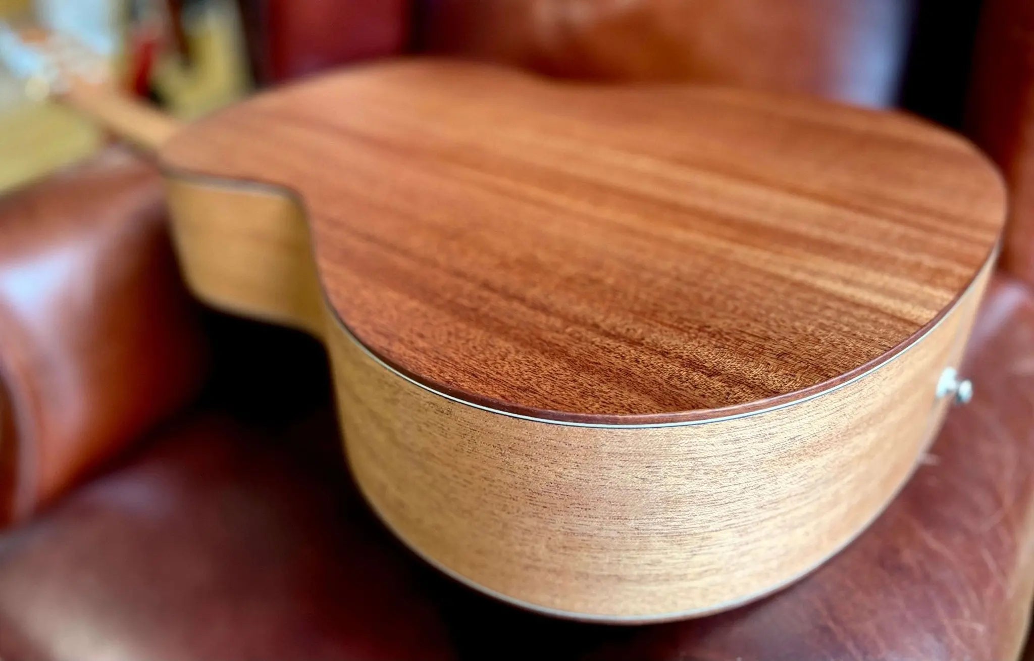 Dowina Mahogany OMG - H Cedar. OM Body Nylon Hybrid Acoustic Guitar - Richards Guitars Of Stratford Upon Avon