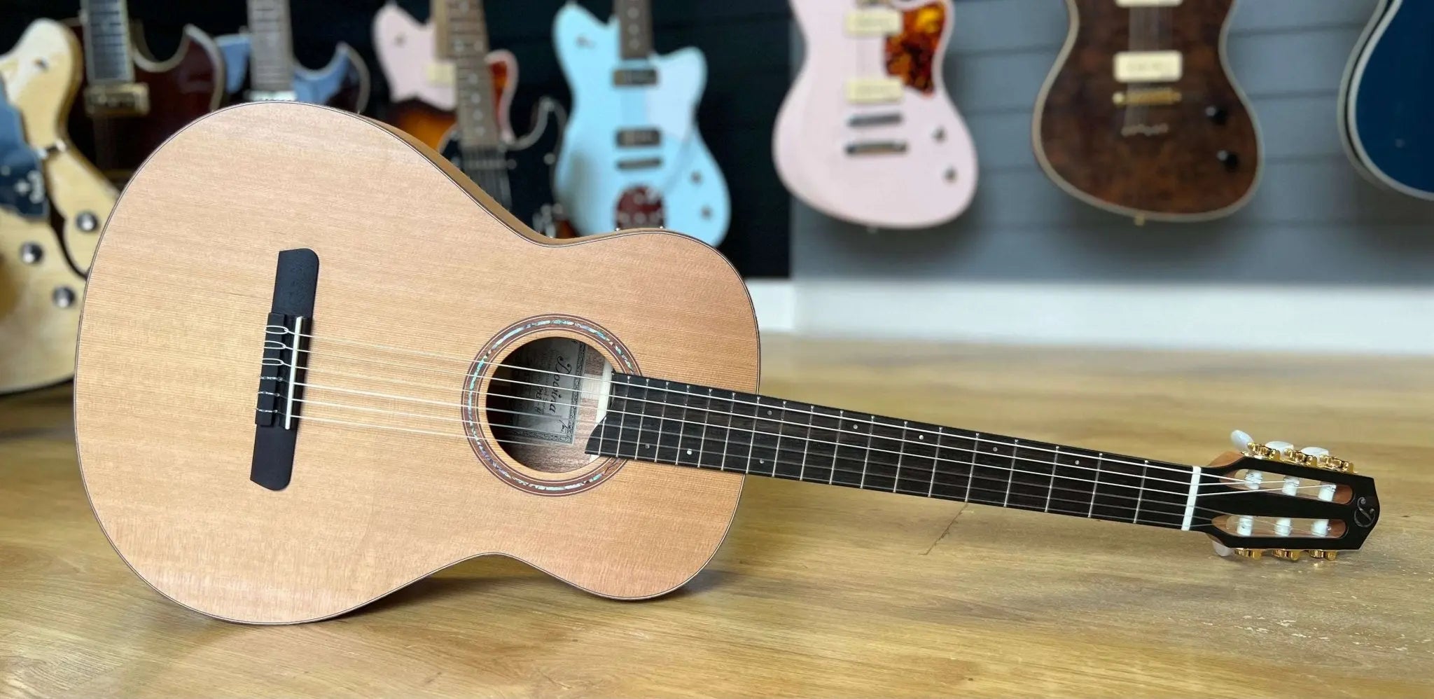 Dowina Mahogany OMG - H Cedar. OM Body Nylon Hybrid Acoustic Guitar - Richards Guitars Of Stratford Upon Avon