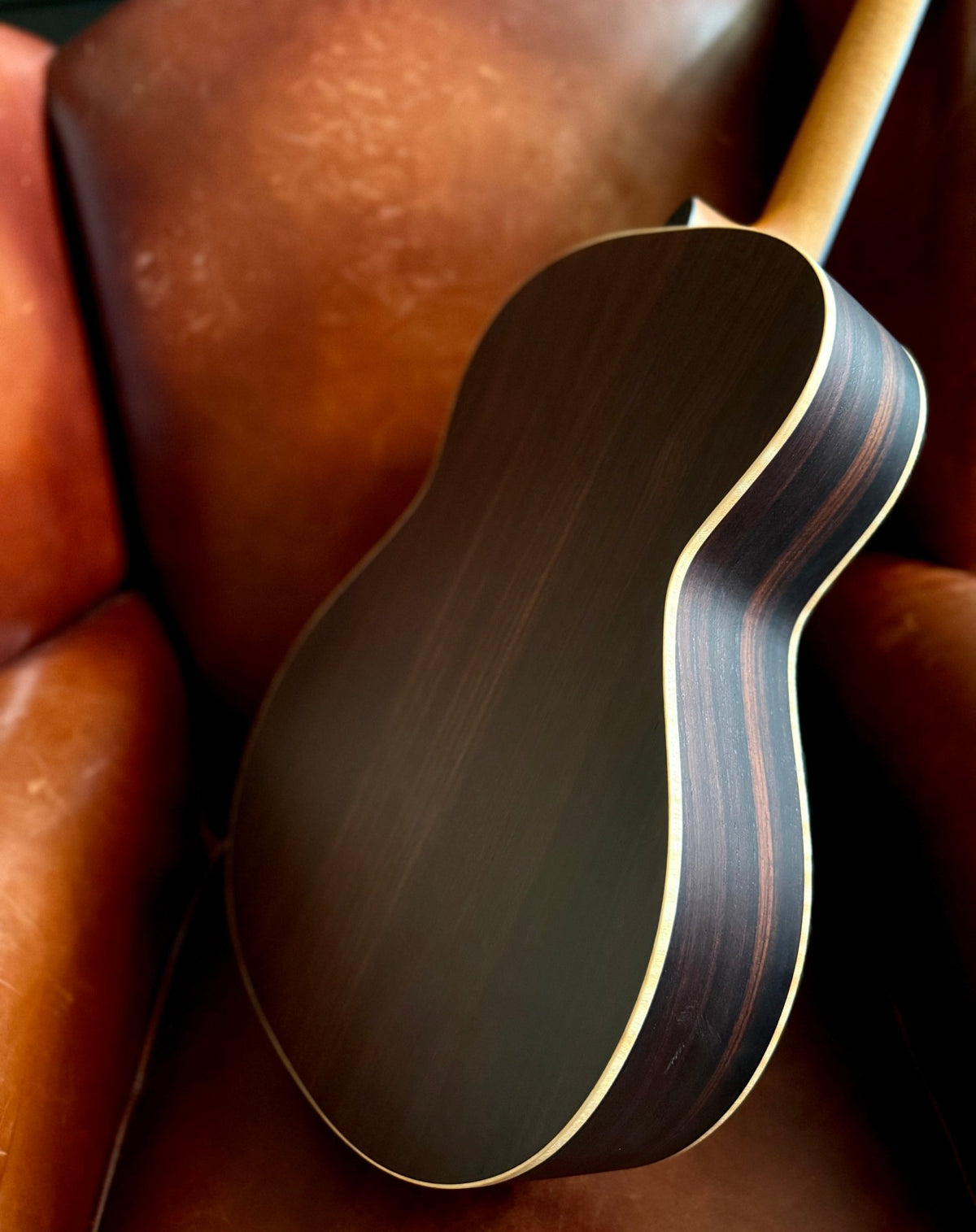 Dowina OMG SPM Custom Short Scale, 12 fret, OM, Stans Choice Rosewood Back & Sides - Richards Guitars Of Stratford Upon Avon
