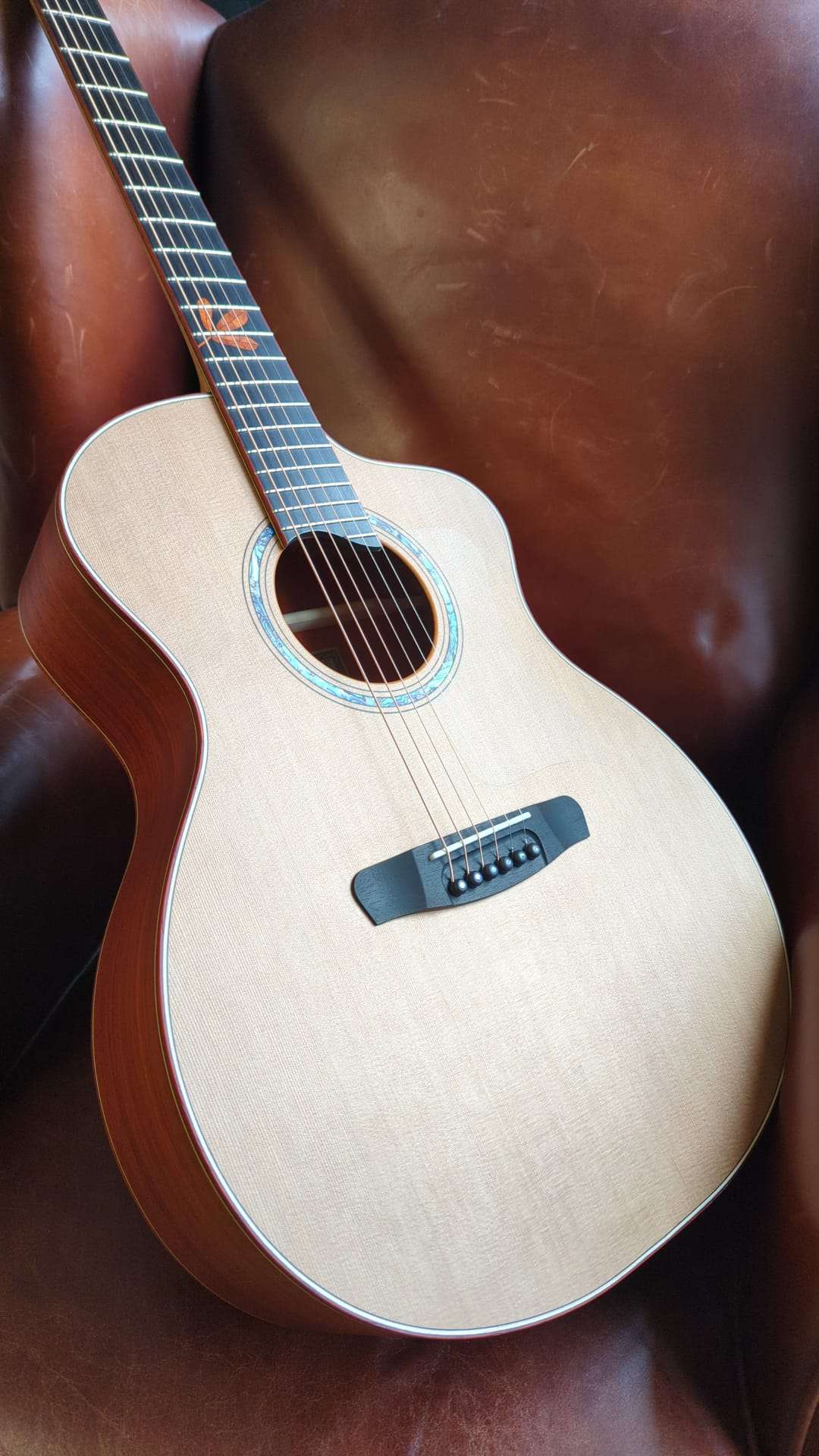 Dowina Padauk GAc - Richards Guitars Of Stratford Upon Avon