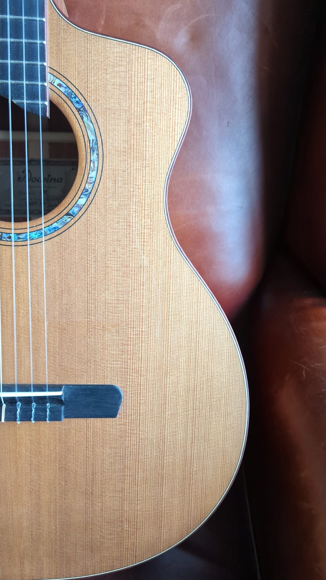 Dowina Padauk HC - Cedar Padauk (Used) - Richards Guitars Of Stratford Upon Avon