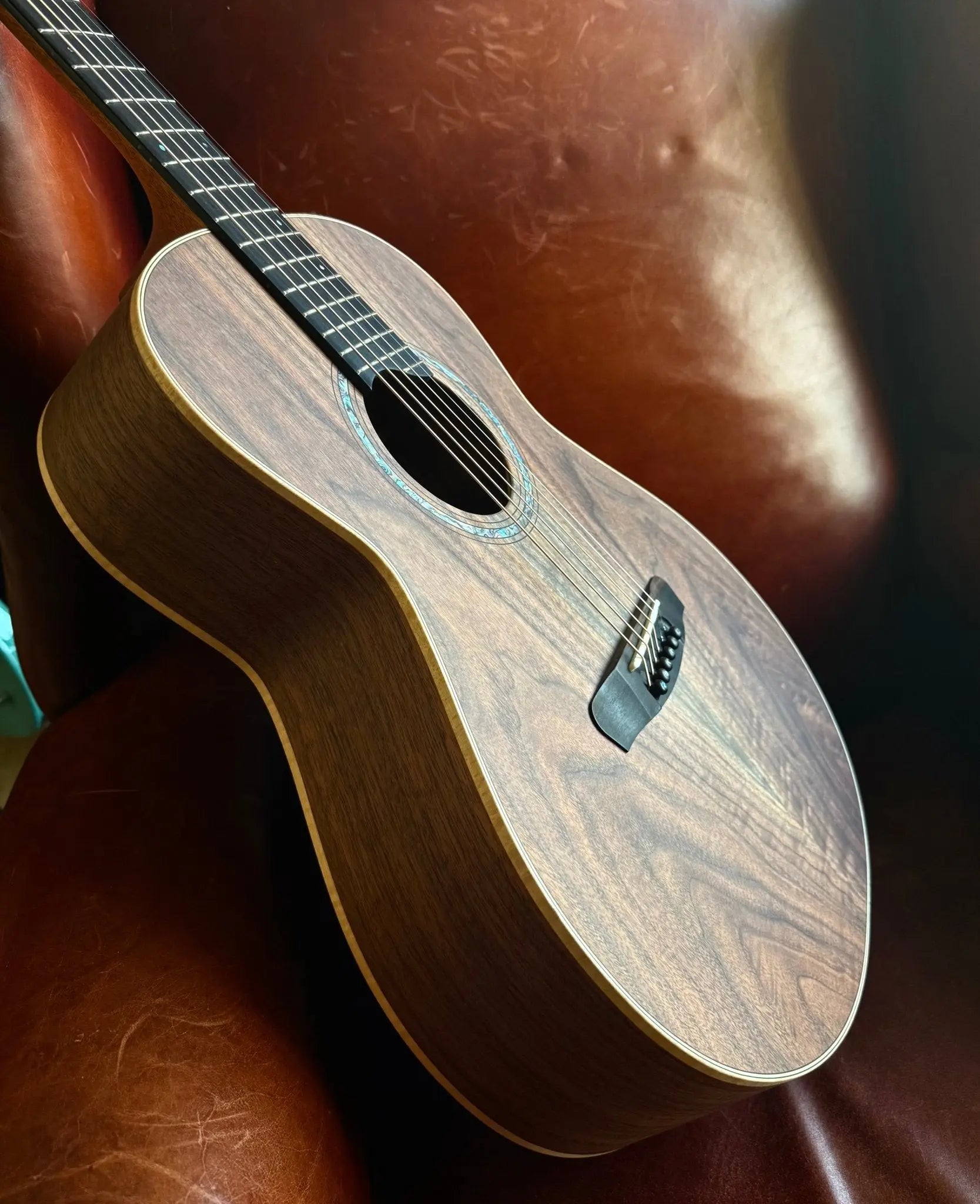 Buy Dowina Walnut Tribute OMG