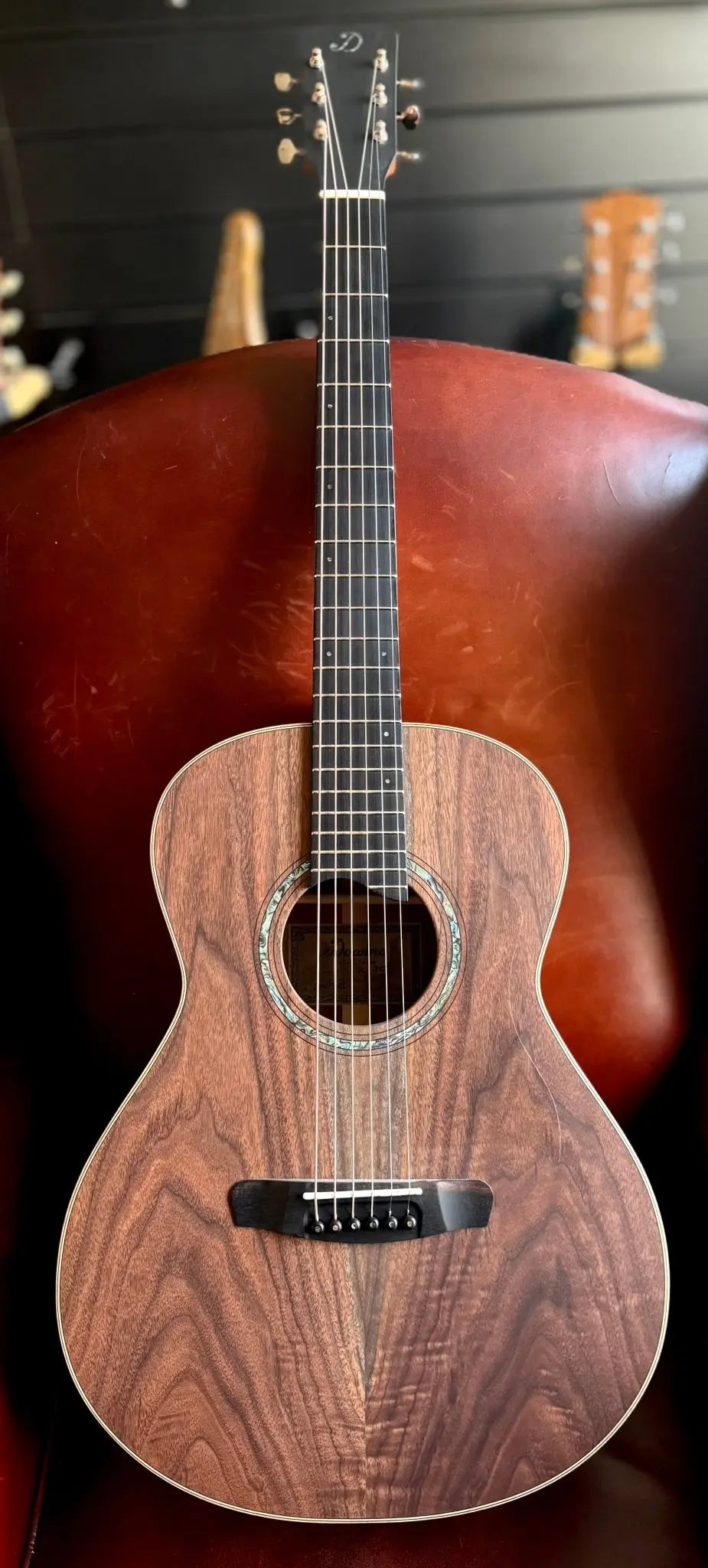 Buy Dowina Walnut Tribute OMG
