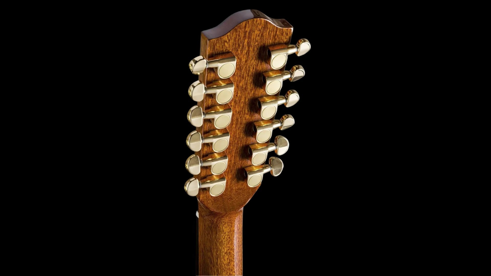 Duke GA-PF-Cut-Solid-12 Acoustic Guitar (Inc. Deluxe Gigbag) - Richards Guitars Of Stratford Upon Avon