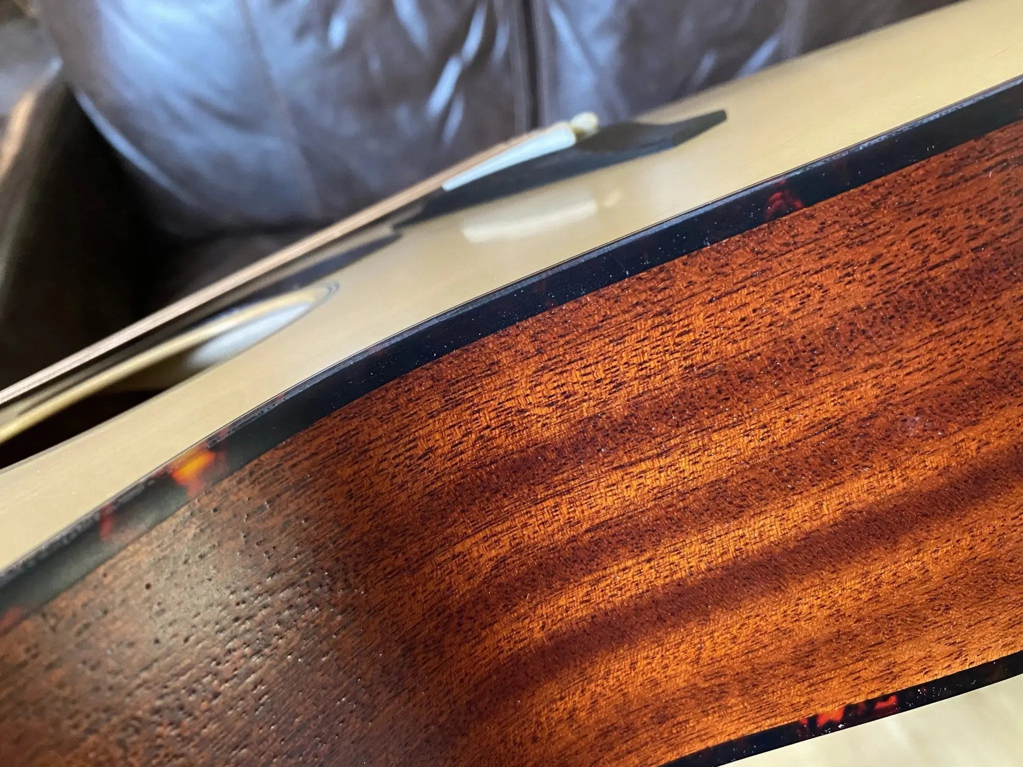 Eastman ACTG - 1 All Solid Acoustic Travel Guitar - Richards Guitars Of Stratford Upon Avon